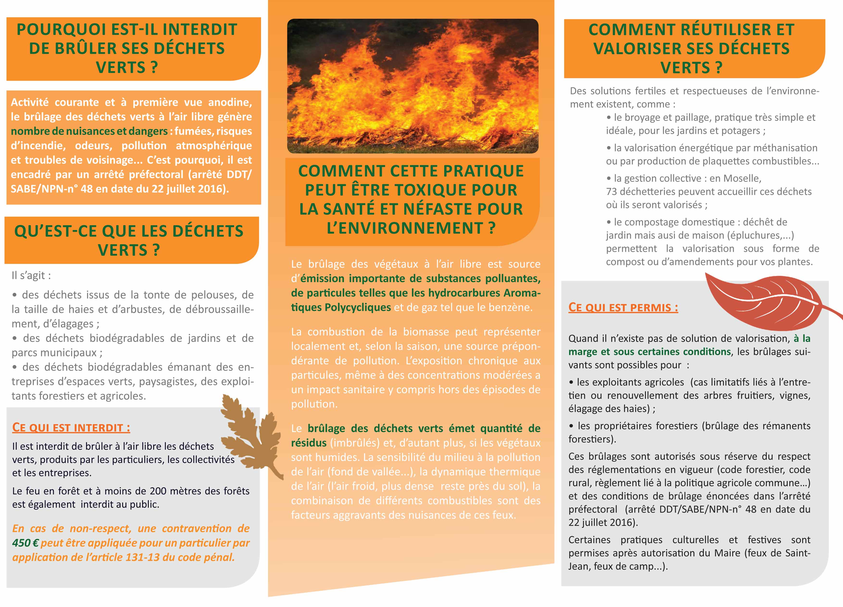 Brulâge des déchets verts-2